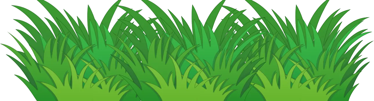 Decorative grass border above the Frogger Jump footer